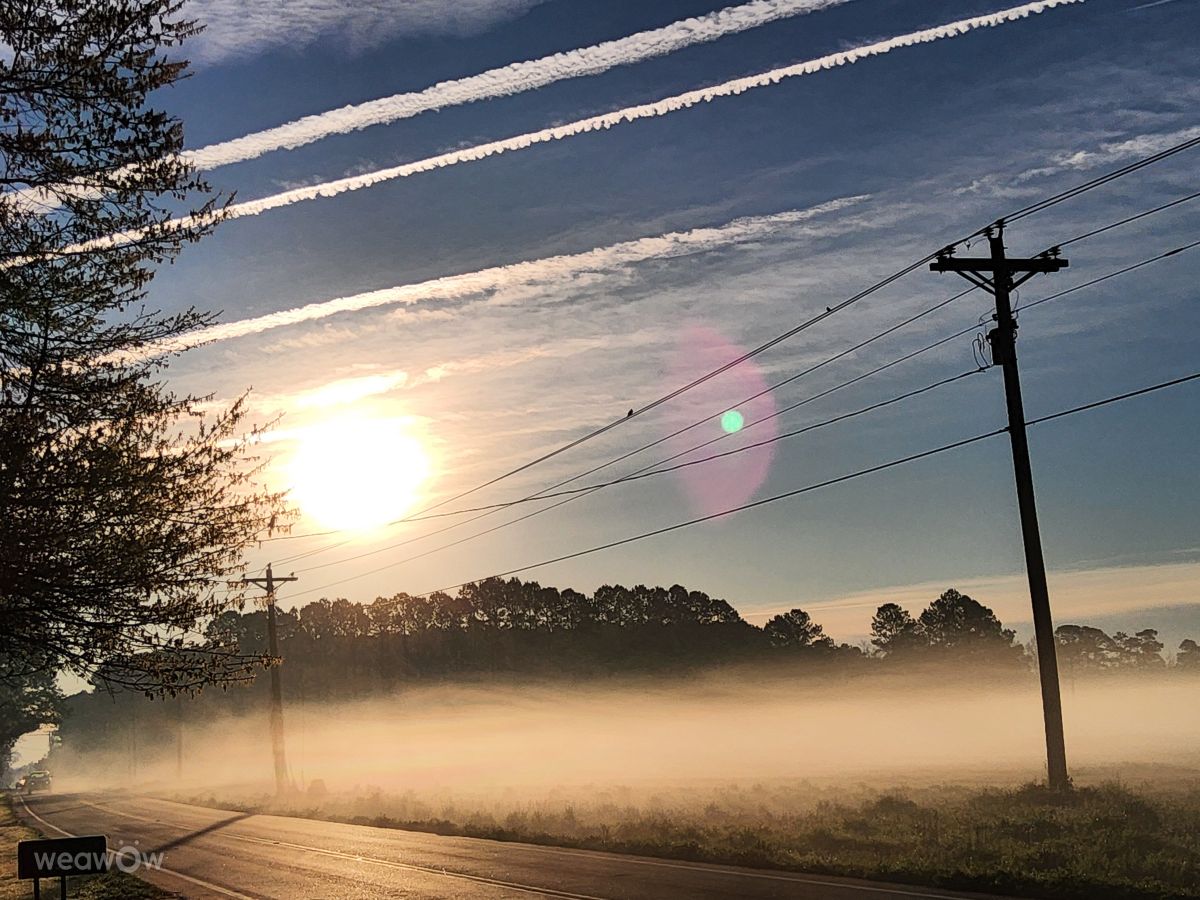 Photographe BJTHinSC, Photos météo à Mullins - Weawow