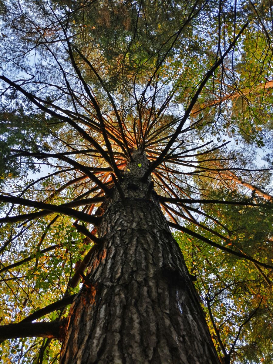 Photos météo à Taroussa. Prévisions météo avec de superbes photos de Aleksei