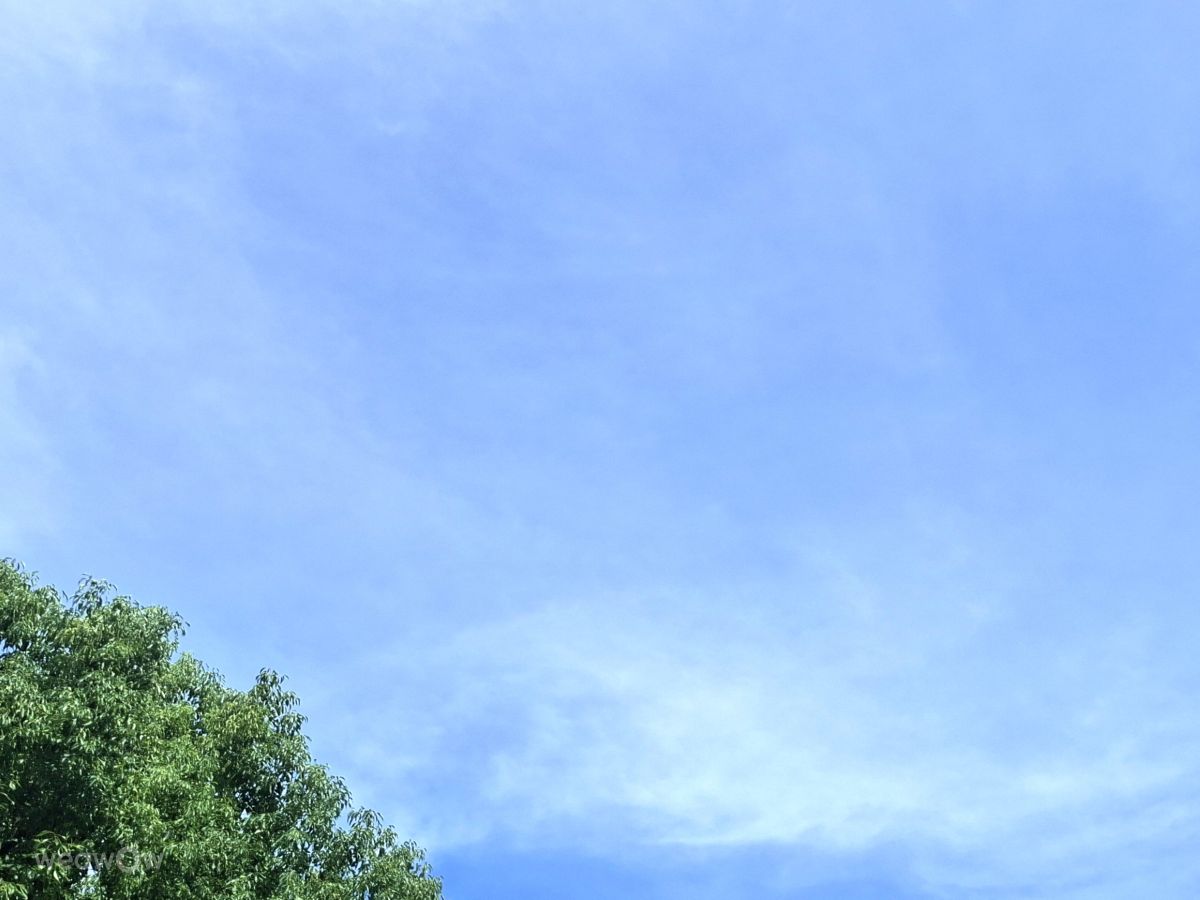 Photographer Wen-ya Huang, Weather Photos in Kaohsiung City - Weawow