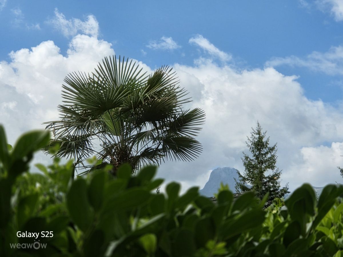 Weather Photos in Switzerland. Weather forecasts with beautiful photos by HALTI