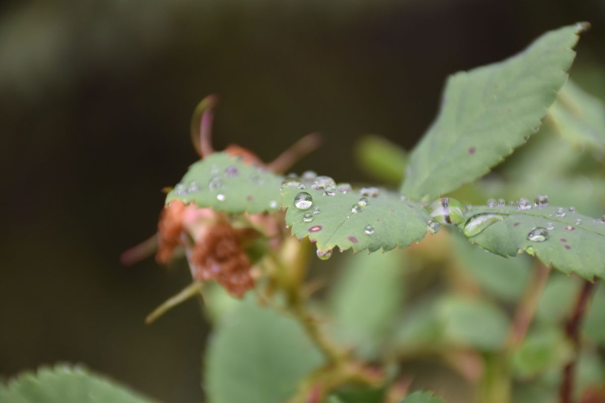 Photographer 1stEyeFocused, Weather Photos in الولايات المتحدة الأمريكية - Weawow