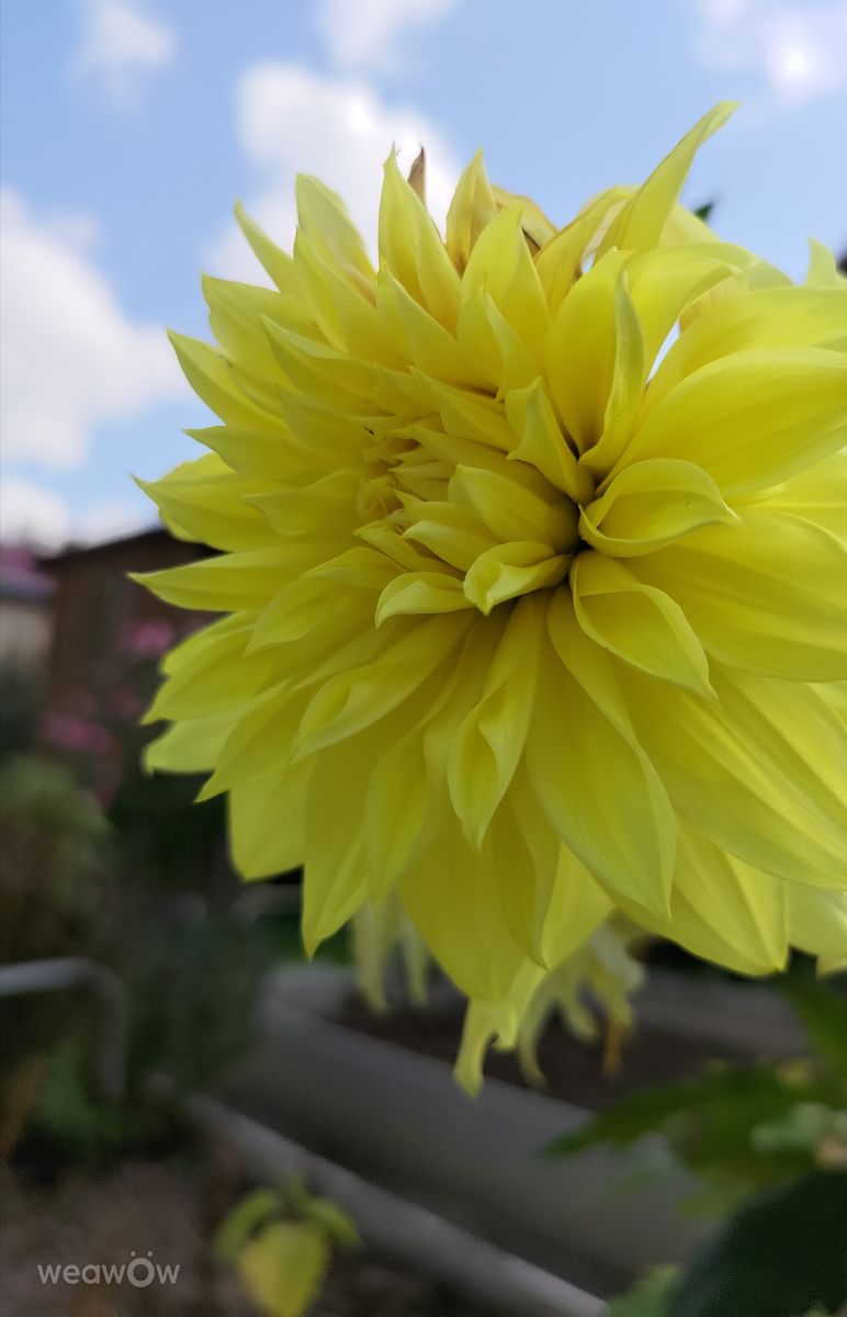 Weather Photos in Russia. Weather forecasts with beautiful photos by Lara357