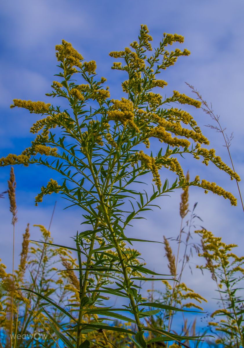 Fotos do tempo em Mikhnevo. Previsões do tempo com lindas fotos de Alex_M_Pakarev