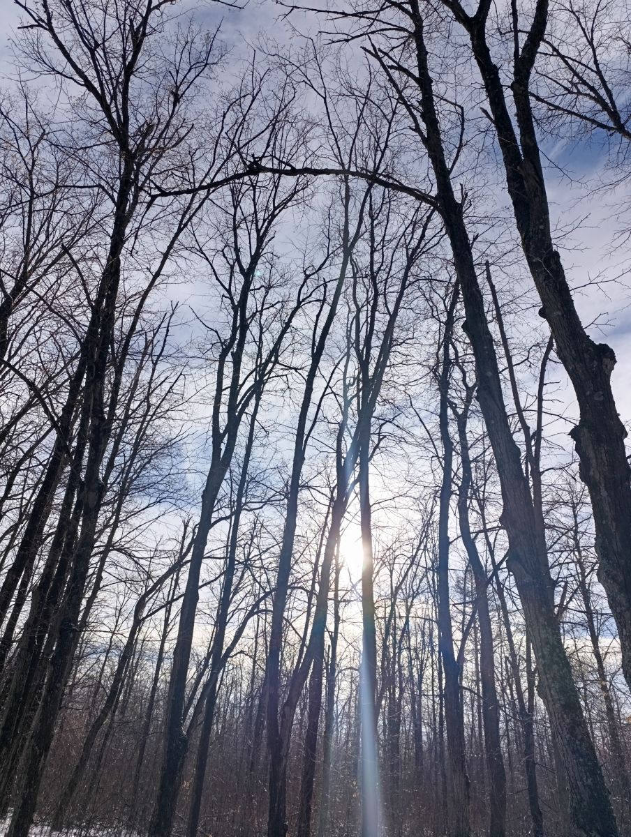 Fotos sobre el clima en Luhansk. Pronósticos del tiempo con hermosas fotos de Анж