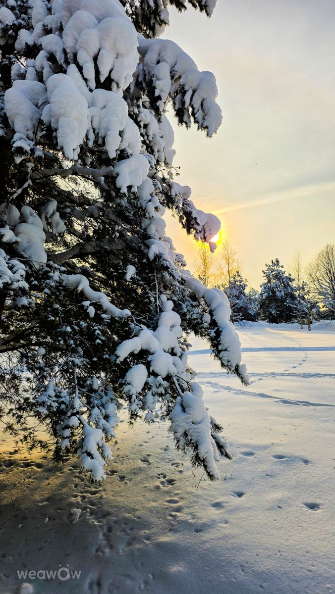 Fotos sobre el clima en Dmítrov. Pronósticos del tiempo con hermosas fotos de Stroganov_4