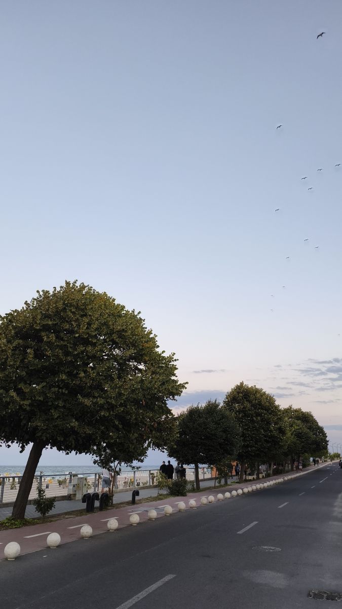 Weather Photos in Constanța County. Weather forecasts with beautiful photos by YanBog