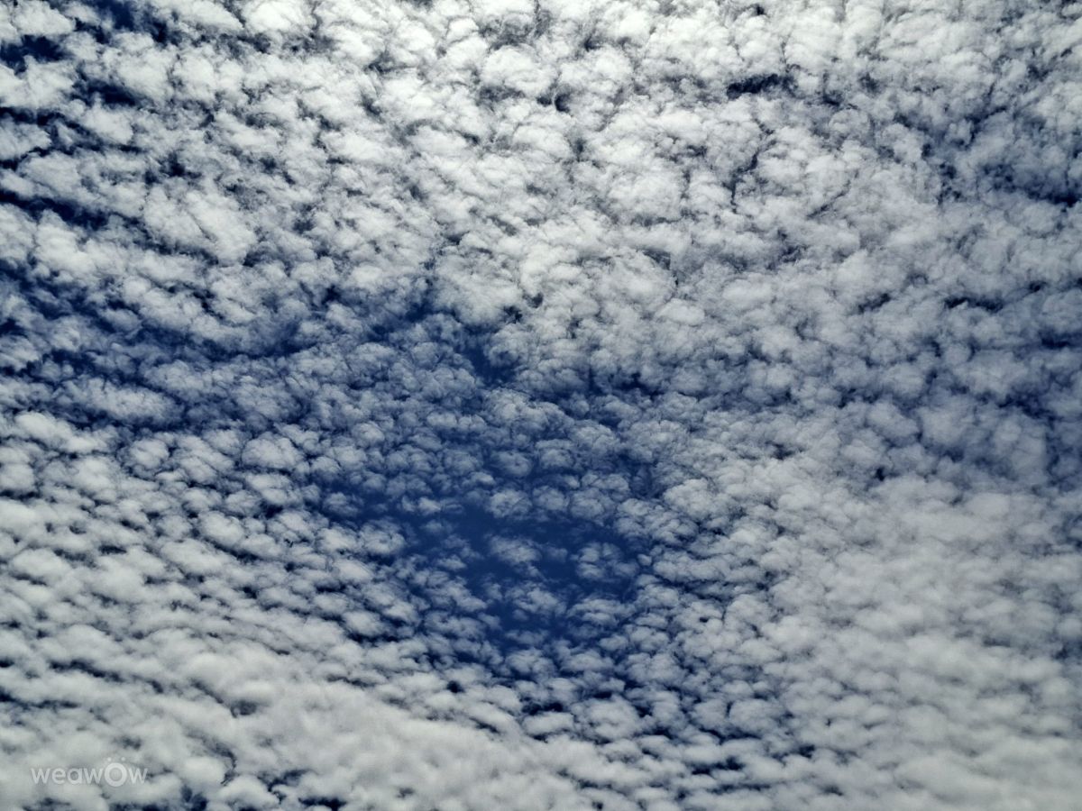 Photographe Wen-ya Huang, Photos météo à Kaohsiung - Weawow