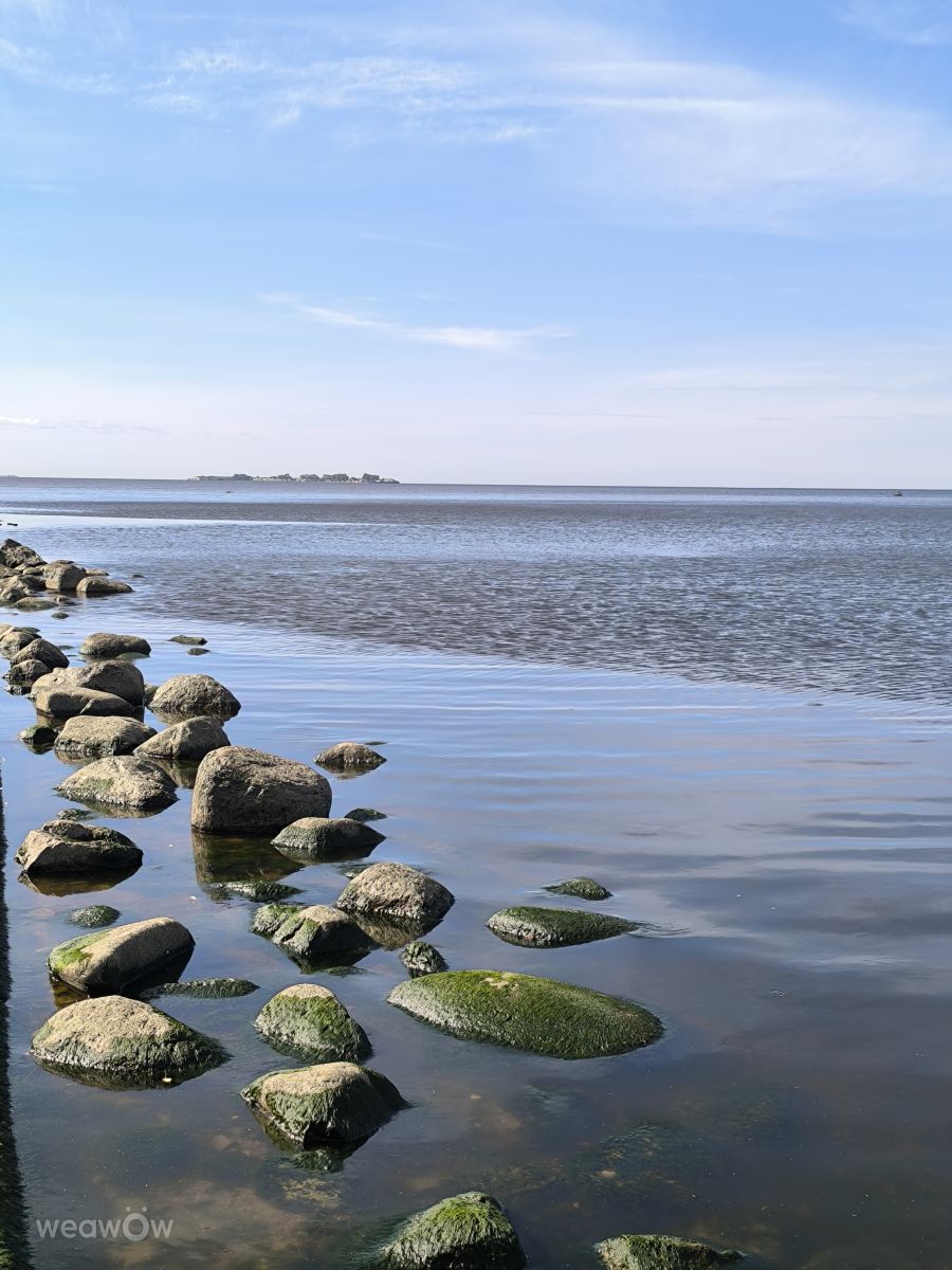 Leningrad的天气照片. 天气预报，带Jea精美的照片