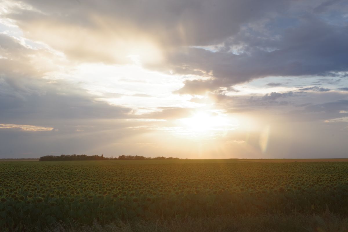 Weather Photos in Cherkasy. Weather forecasts with beautiful photos by Saho76