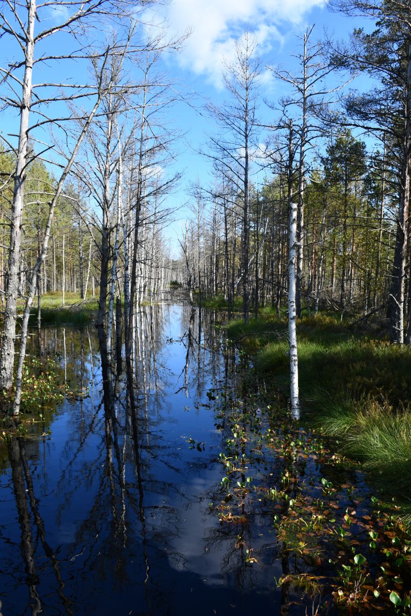 Prévisions météo avec de superbes photos de Tarkus19