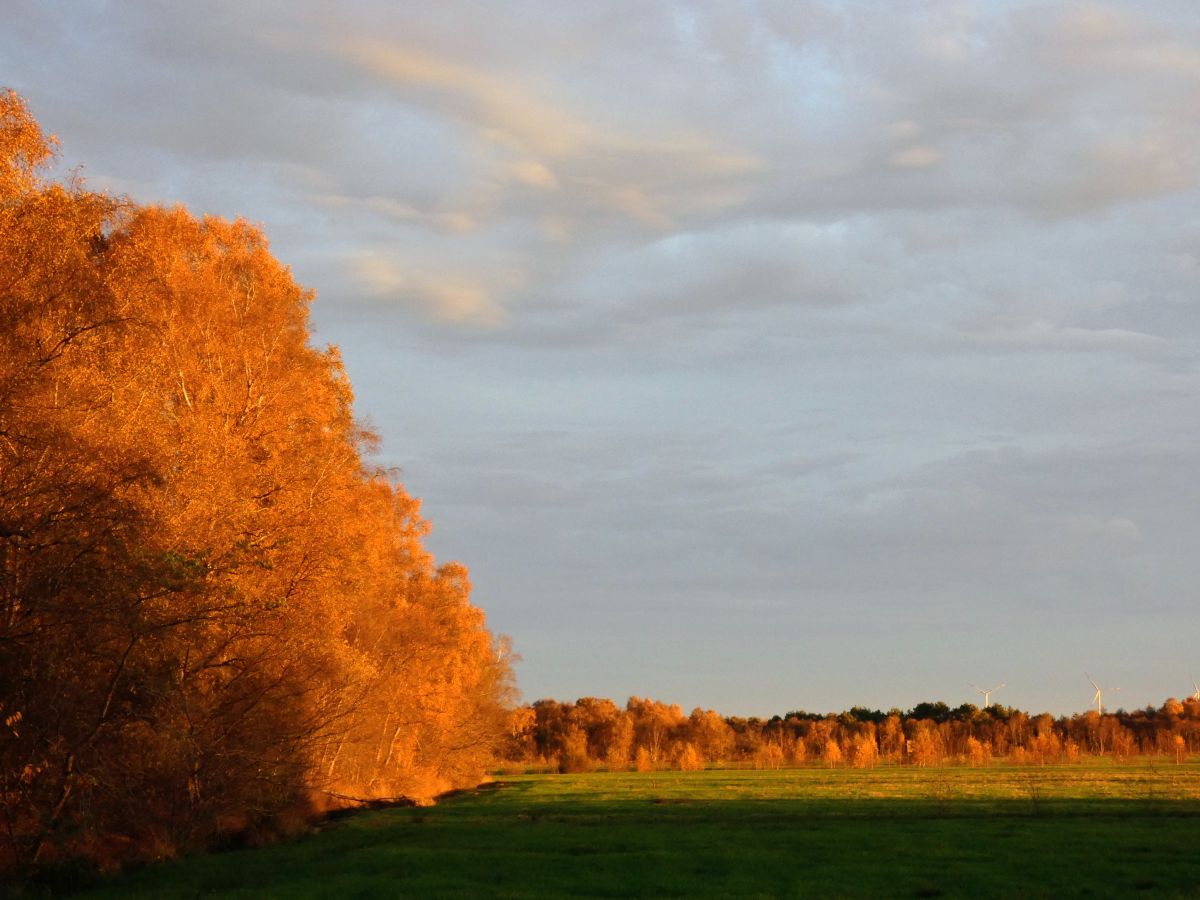 Фотограф fwerner, Фотографии Погоды в Elsfleth - Weawow