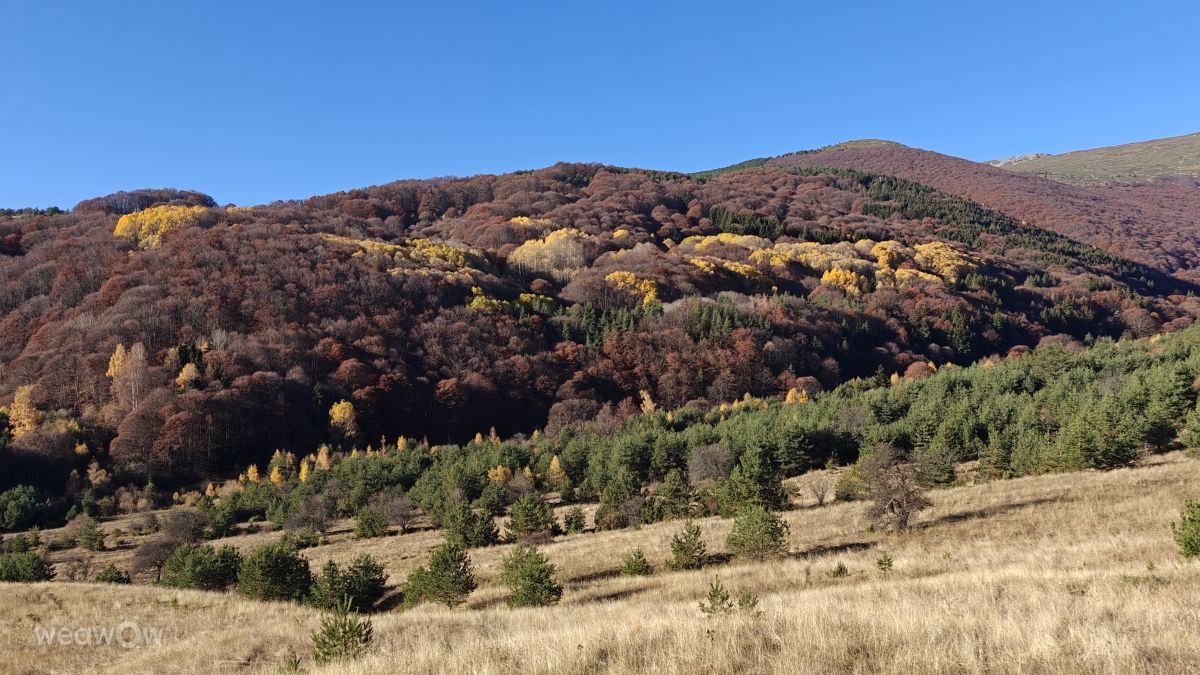 Dự báo thời tiết với những bức ảnh đẹp của Rosiii