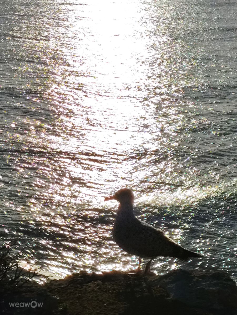 Фотограф Brtd, Фотографии Погоды в Lagos - Weawow