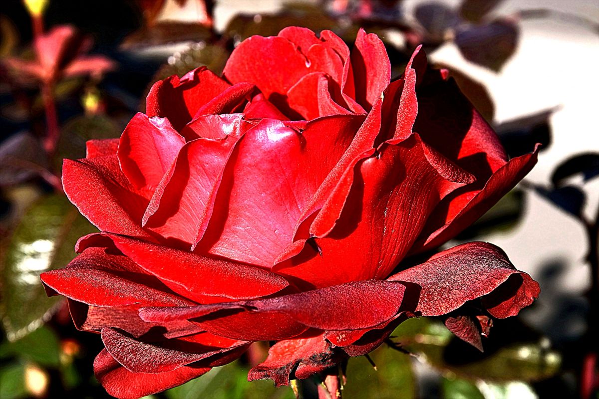 Dự báo thời tiết với những bức ảnh đẹp của ConstantinR