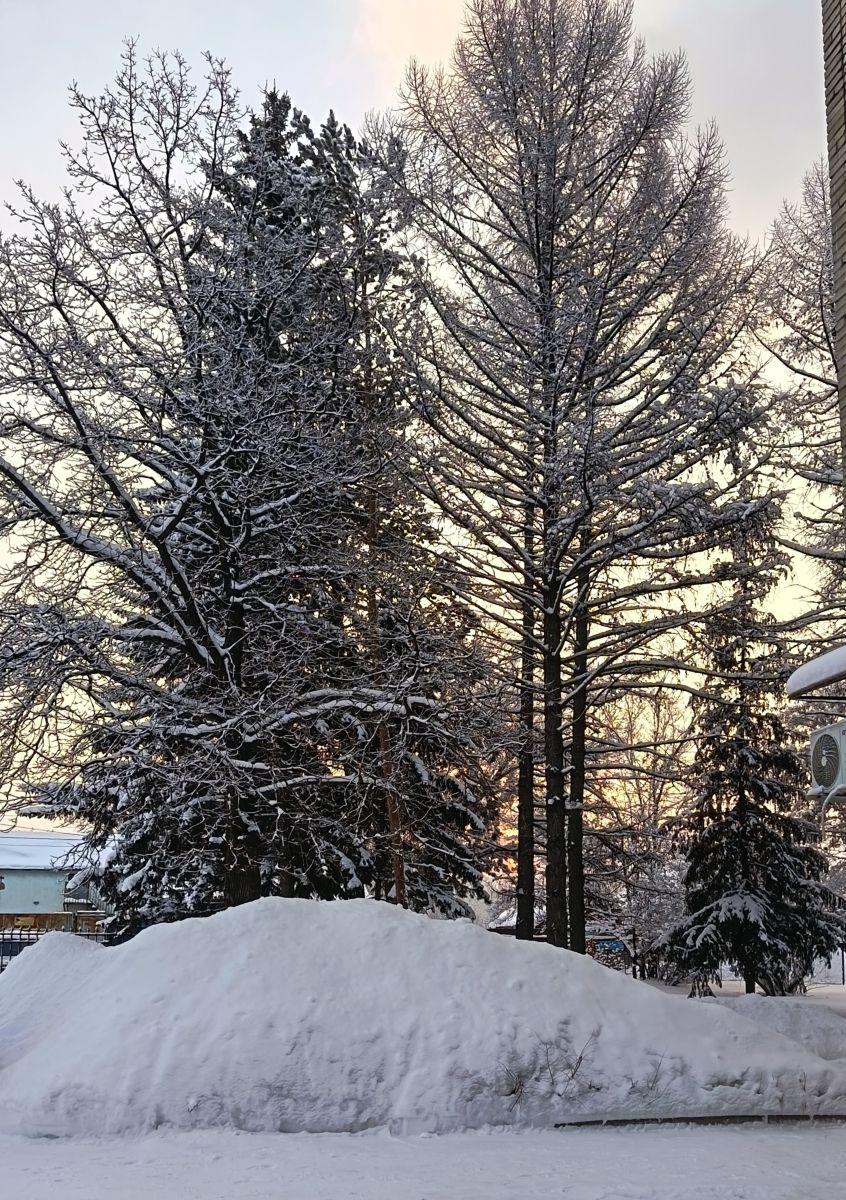 世界の天気写真. ЮлЯШаの美しい写真による天気予報