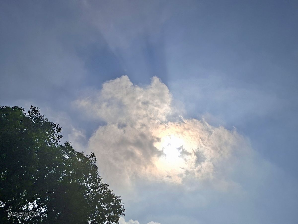 Photographer Wen-ya Huang, Weather Photos in Kaohsiung City - Weawow