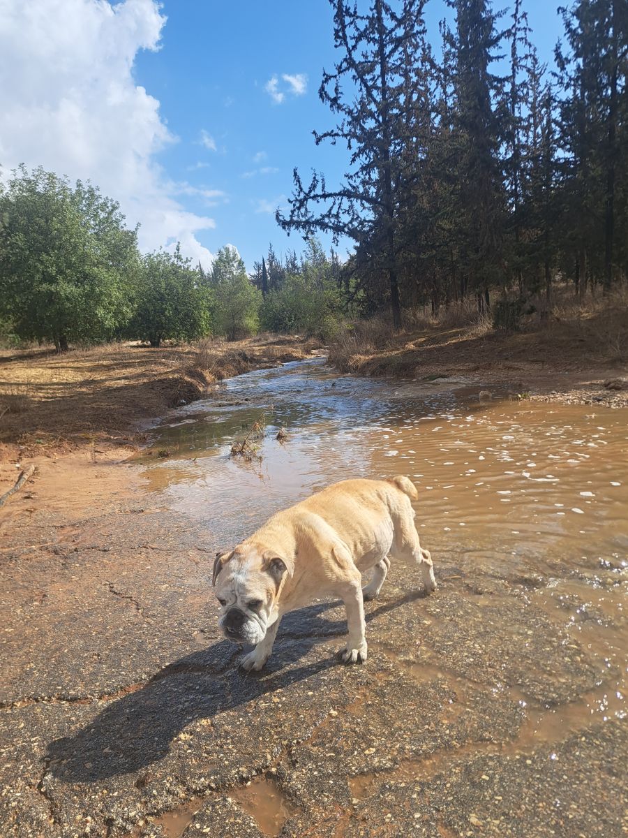 Prévisions météo avec de superbes photos de Sviatoslav