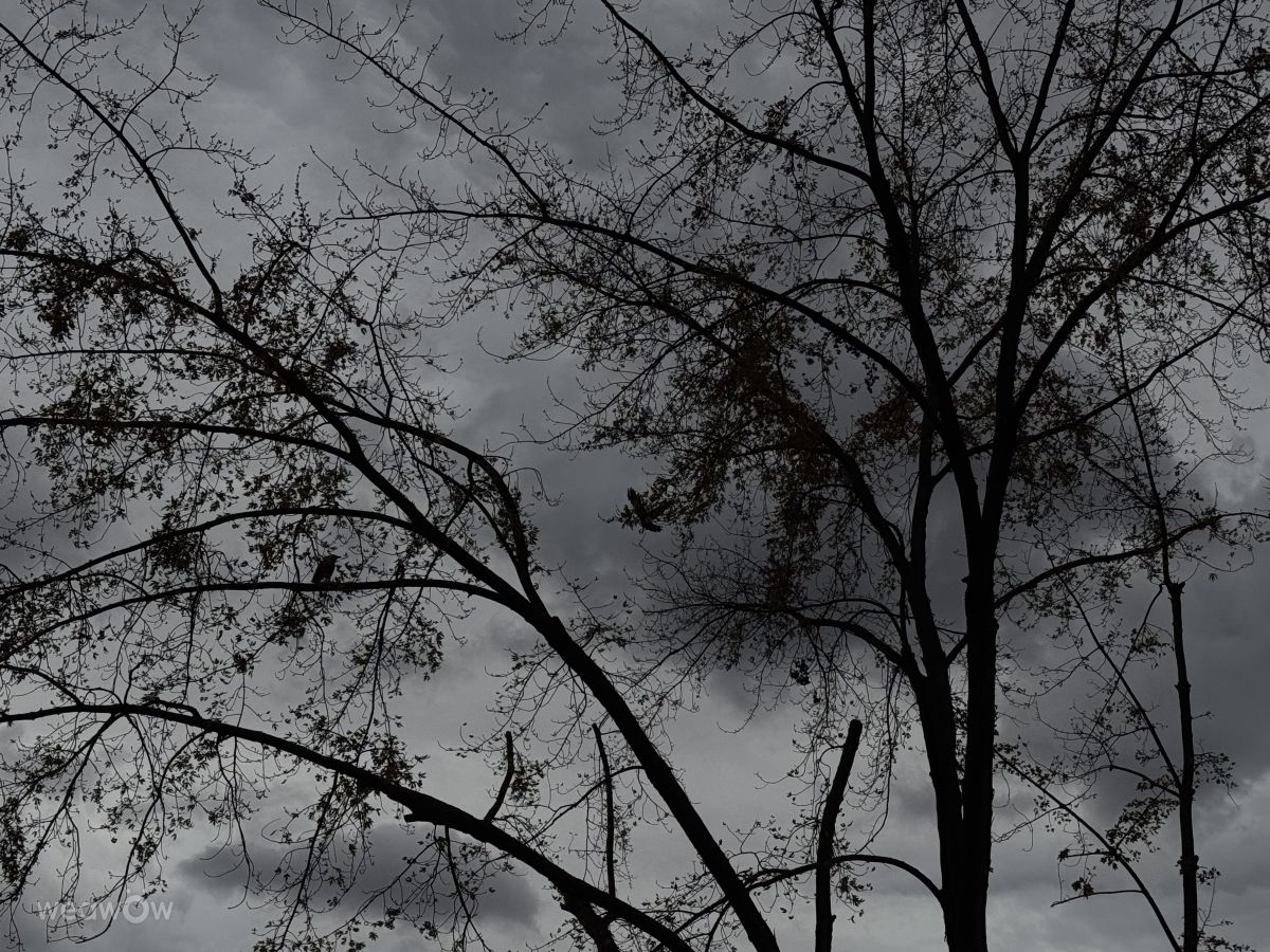 Fotos sobre el clima en Moldavia. Pronósticos del tiempo con hermosas fotos de Sonia