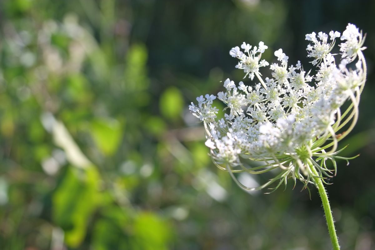 Photos météo à Cherkasy. Prévisions météo avec de superbes photos de Saho76