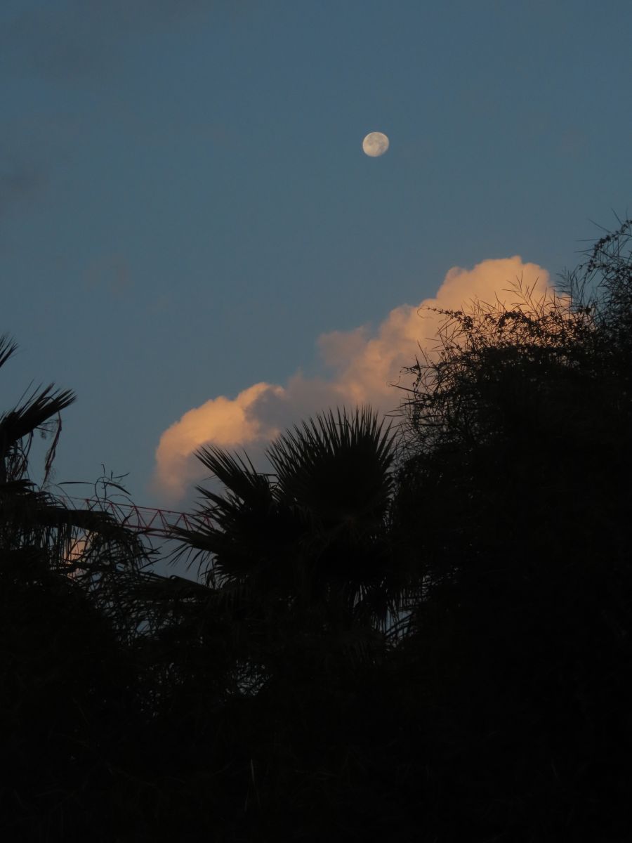 Hình ảnh Thời tiết ở Northern District. Dự báo thời tiết với những bức ảnh đẹp của Sviatoslav