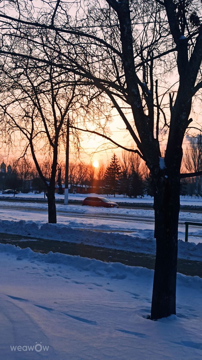 Прогнозы погоды с чудесными фотографиями, сделанными ВитаВика