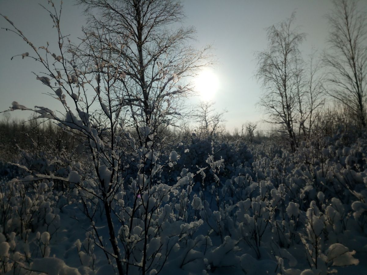 Fotógrafo Andrey72, Fotos sobre el clima en Lakhtinskiy Razliv - Weawow
