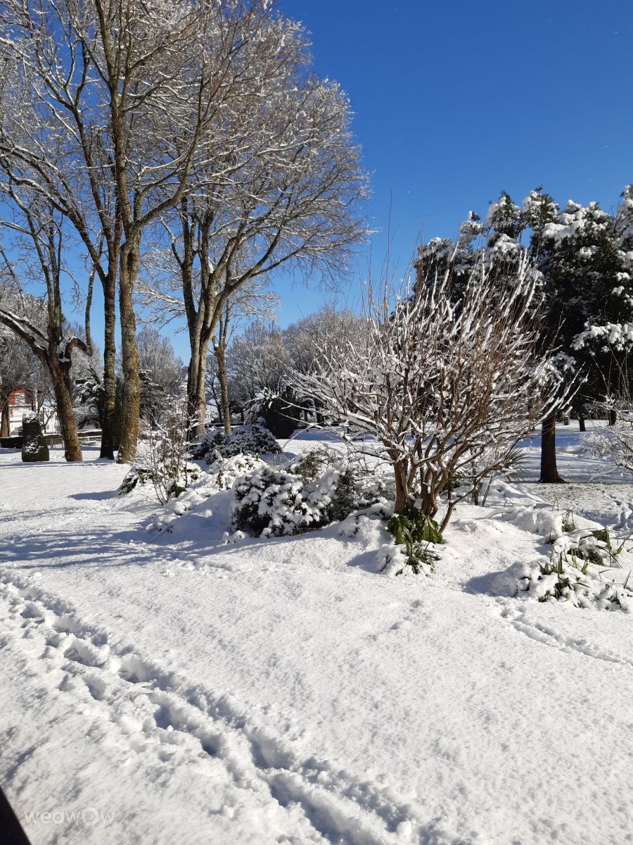 Weather forecasts with beautiful photos by Ninette