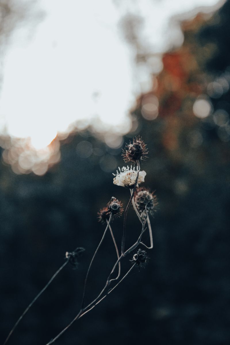 Wetter Photos Kropywnyzkyj. Wettervorhersagen mit schönen Fotos von Synieok