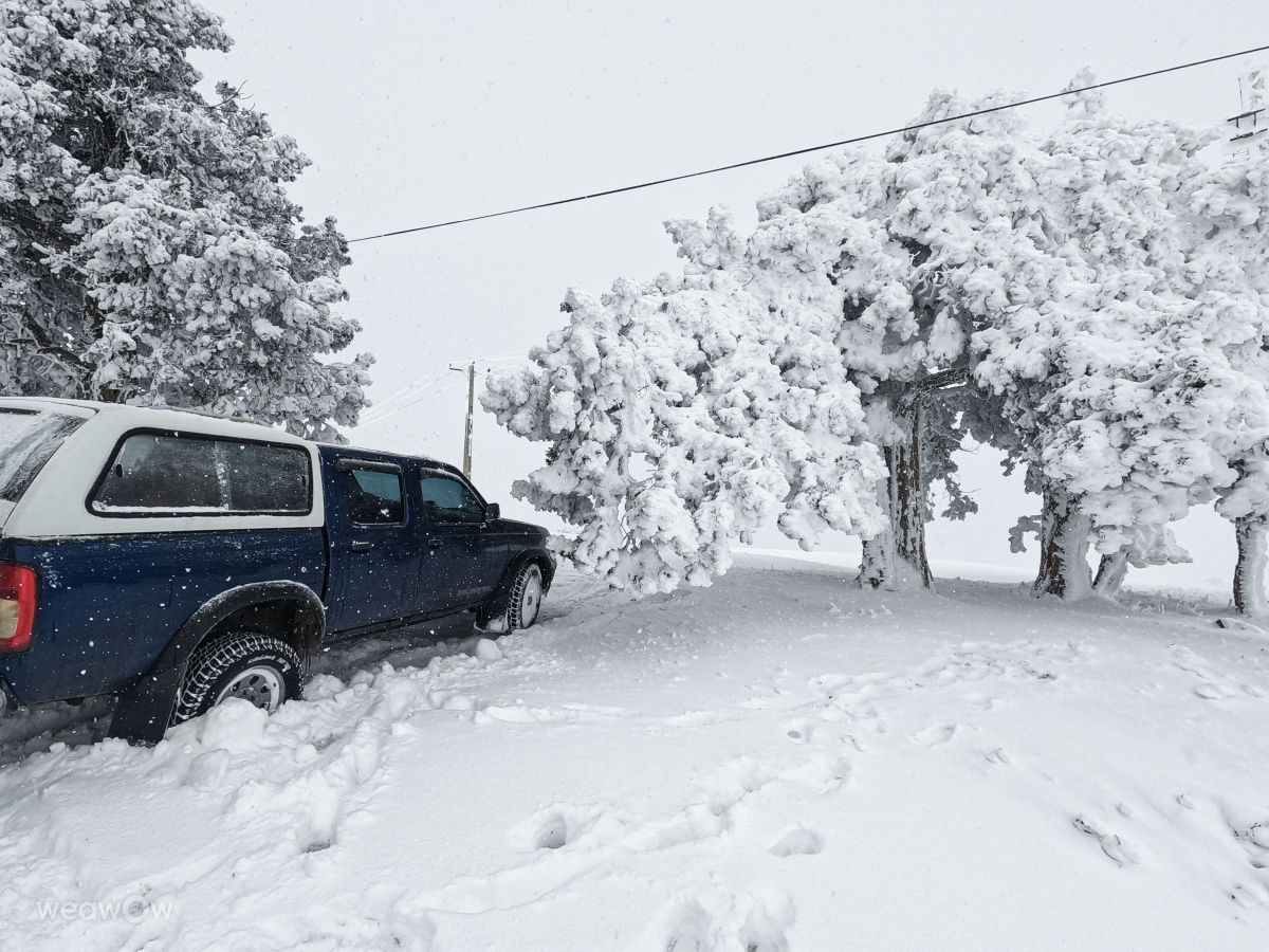 Weather Photos in Ardabīl. Weather forecasts with beautiful photos by SAEED_YAS2007