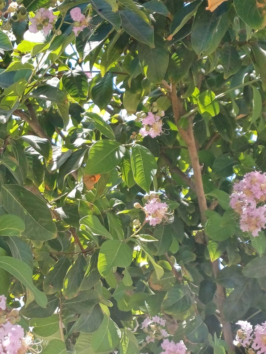 Weather Photos in Holon. Weather forecasts with beautiful photos by Zaza