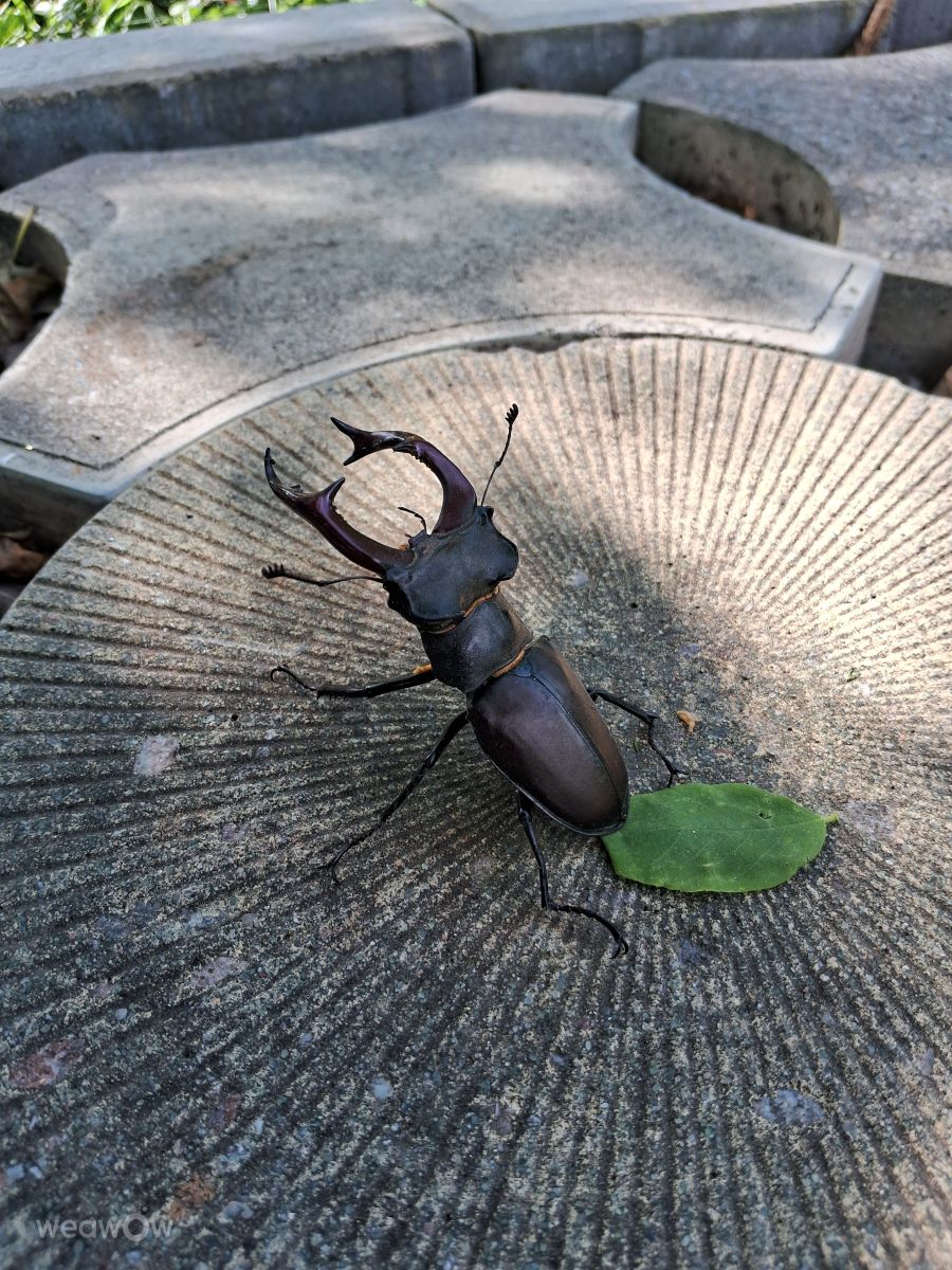 Photographer urashm, Weather Photos in Bohdanivtsi - Weawow
