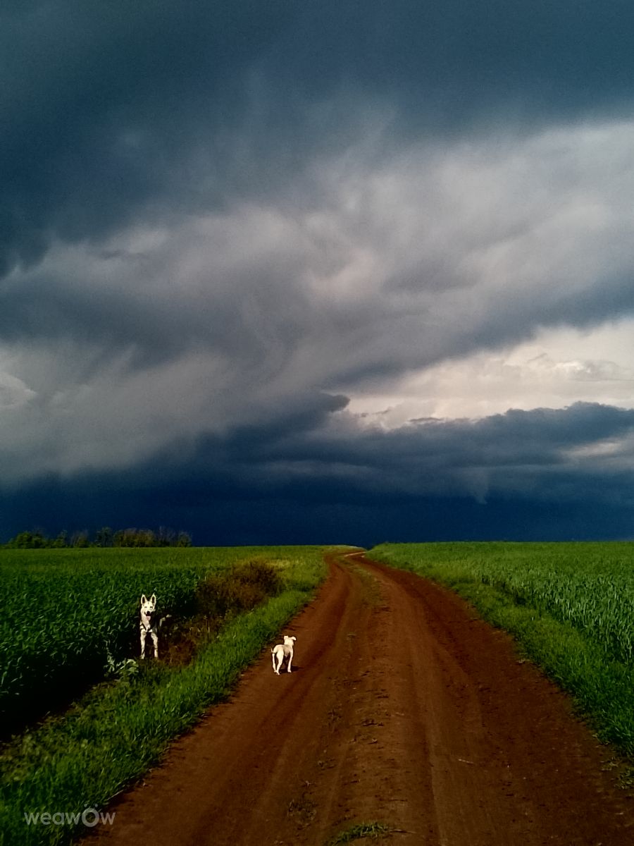 Weather Photos in Mykolayiv. Weather forecasts with beautiful photos by Nsujdc