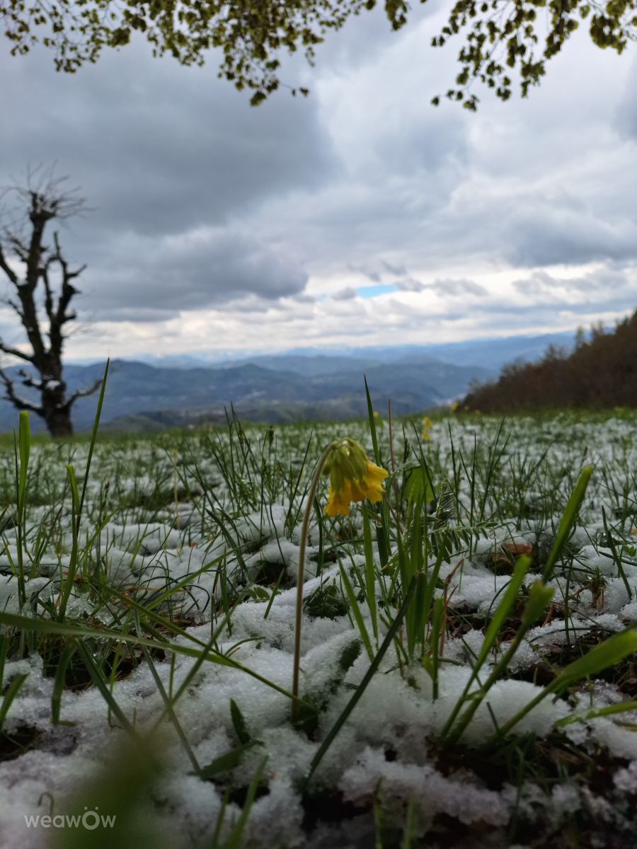 Madanの天気写真. YuliyaRuskovaの美しい写真による天気予報