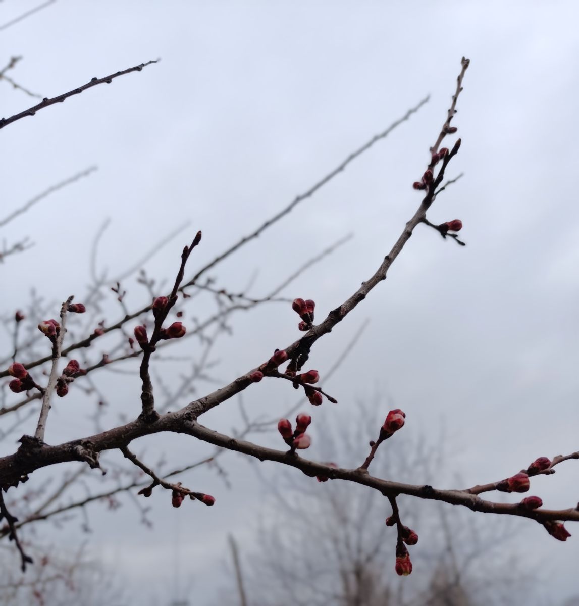 ルハーンシクの天気写真. Анжの美しい写真による天気予報