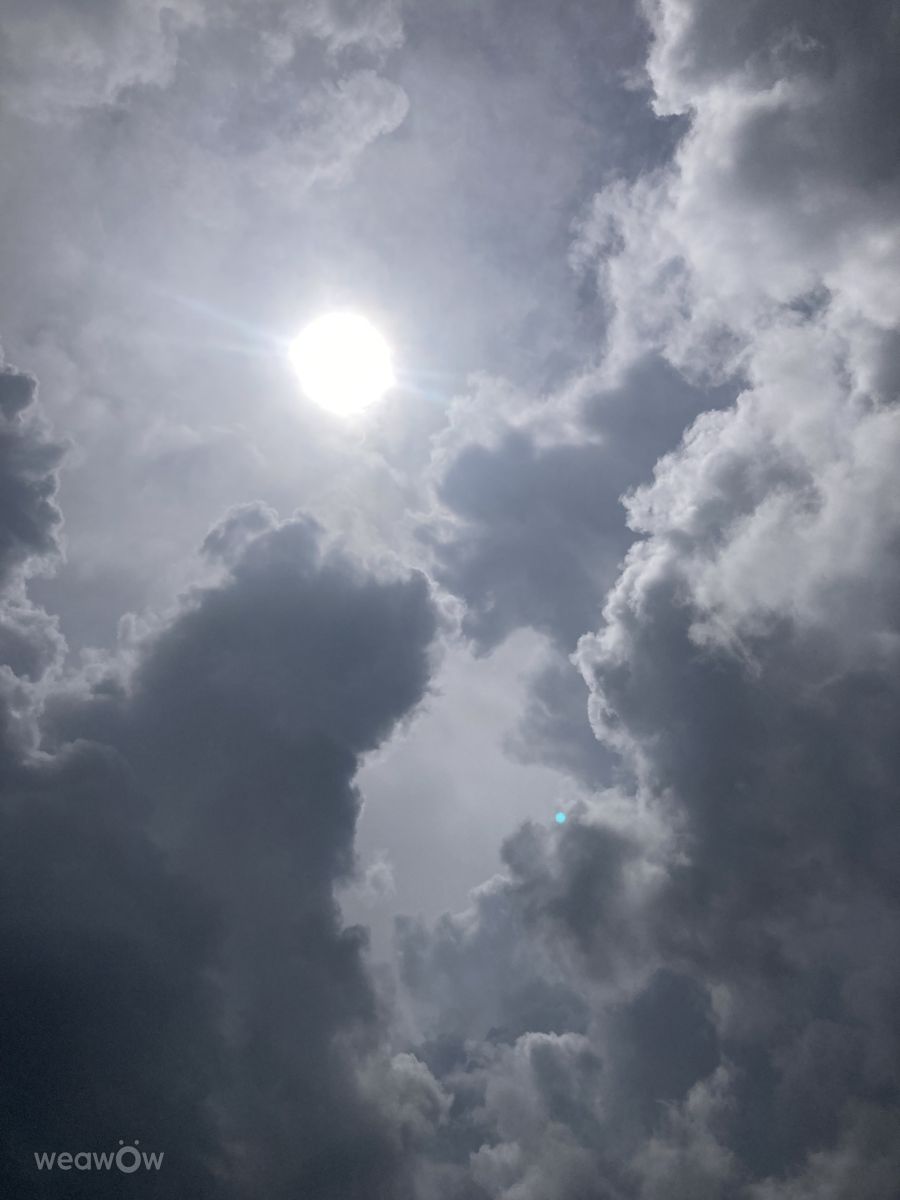 Weather Photos in Port Saint Lucie. Weather forecasts with beautiful photos by FaeryInFlorida