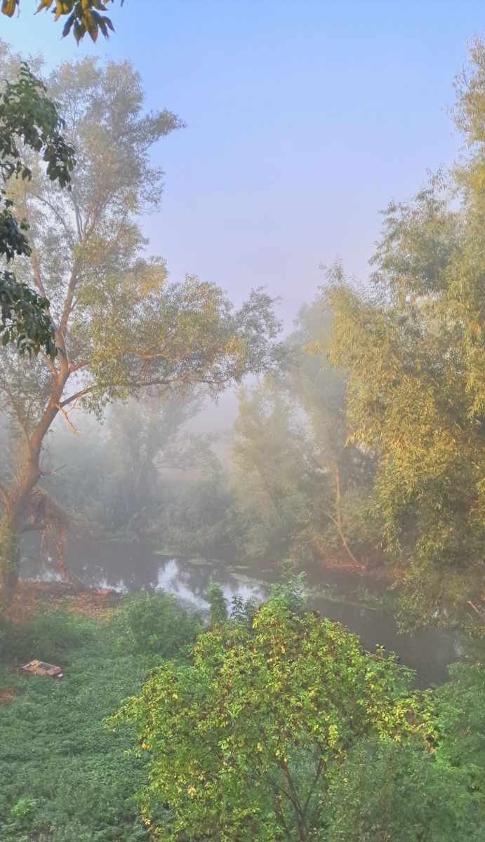 Prévisions météo avec de superbes photos de Володимир Хворостенко