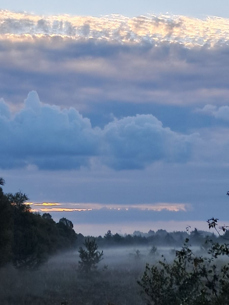 Фотографии Погоды в Elsfleth. Прогнозы погоды с чудесными фотографиями, сделанными fwerner