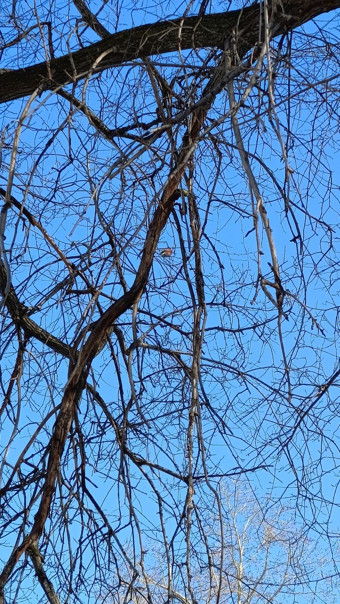 Weather forecasts with beautiful photos by Михаил Бондаренко