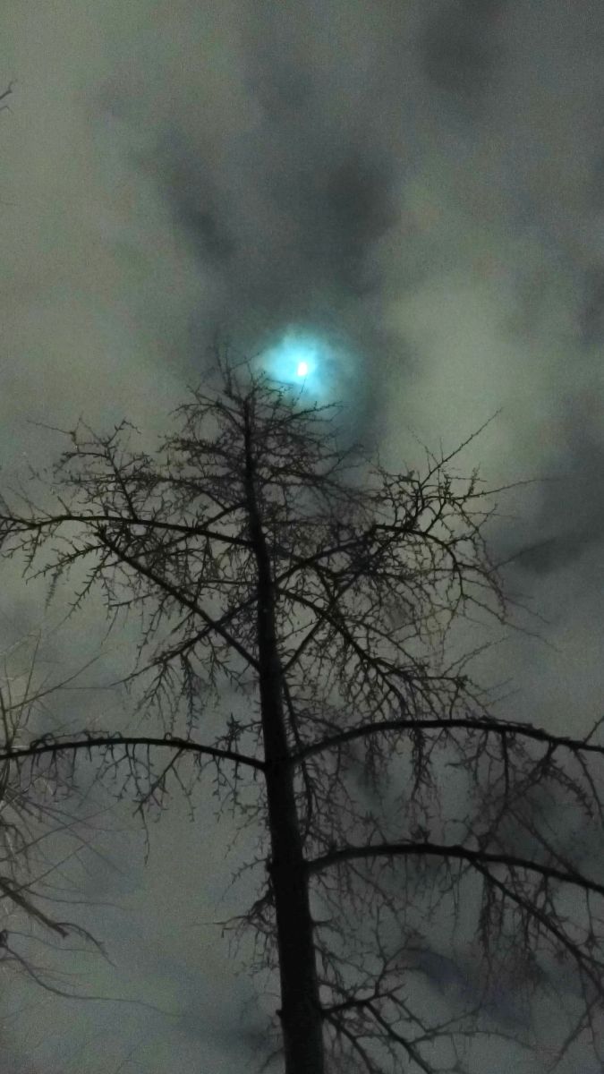 Fotógrafo YanBog, Fotos sobre el clima en București - Weawow