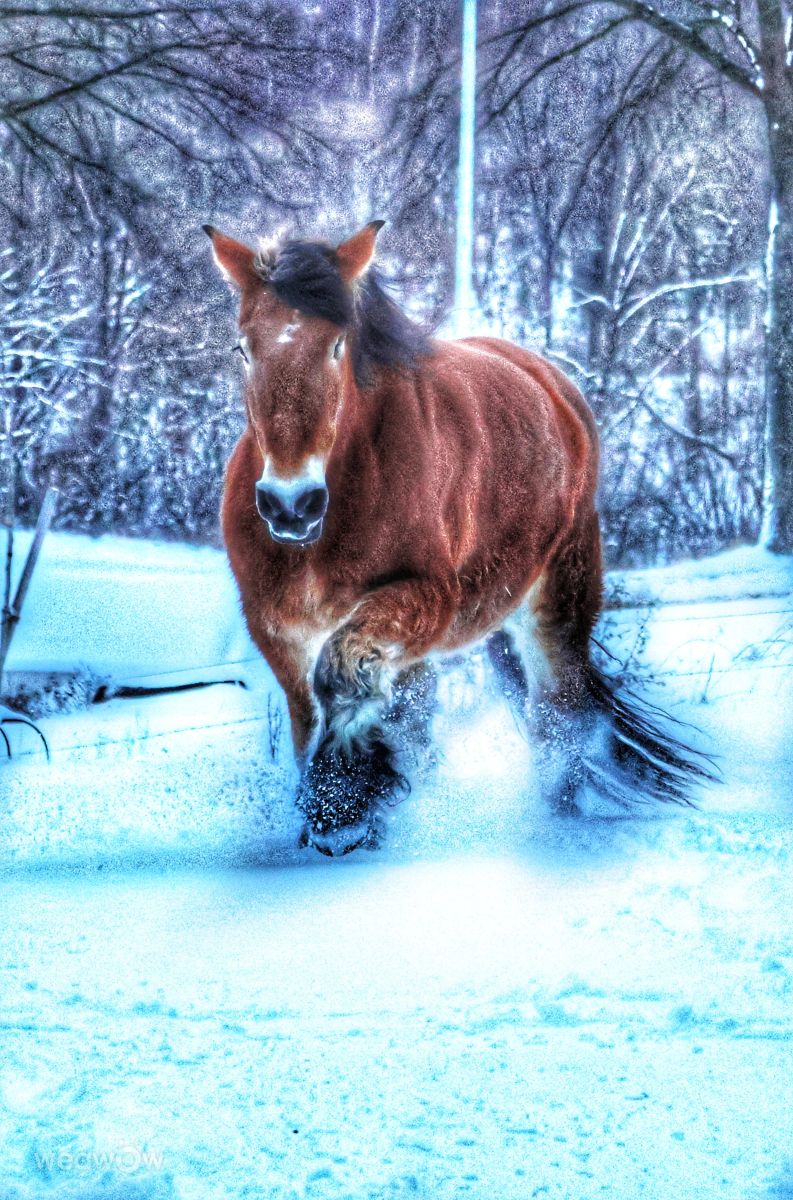 Weather Photos in Affeln. Weather forecasts with beautiful photos by Lotti5507