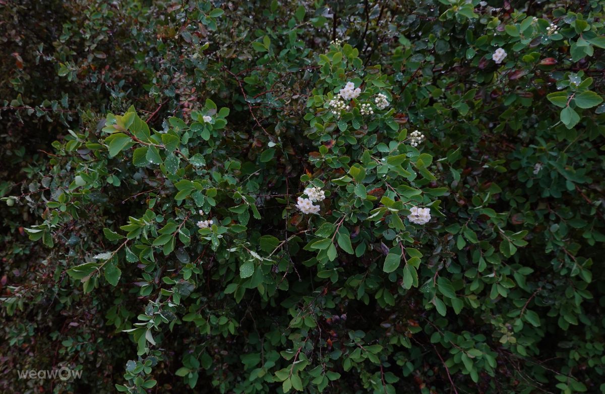 Fotos do tempo em Praha 12. Previsões do tempo com lindas fotos de Vasek325