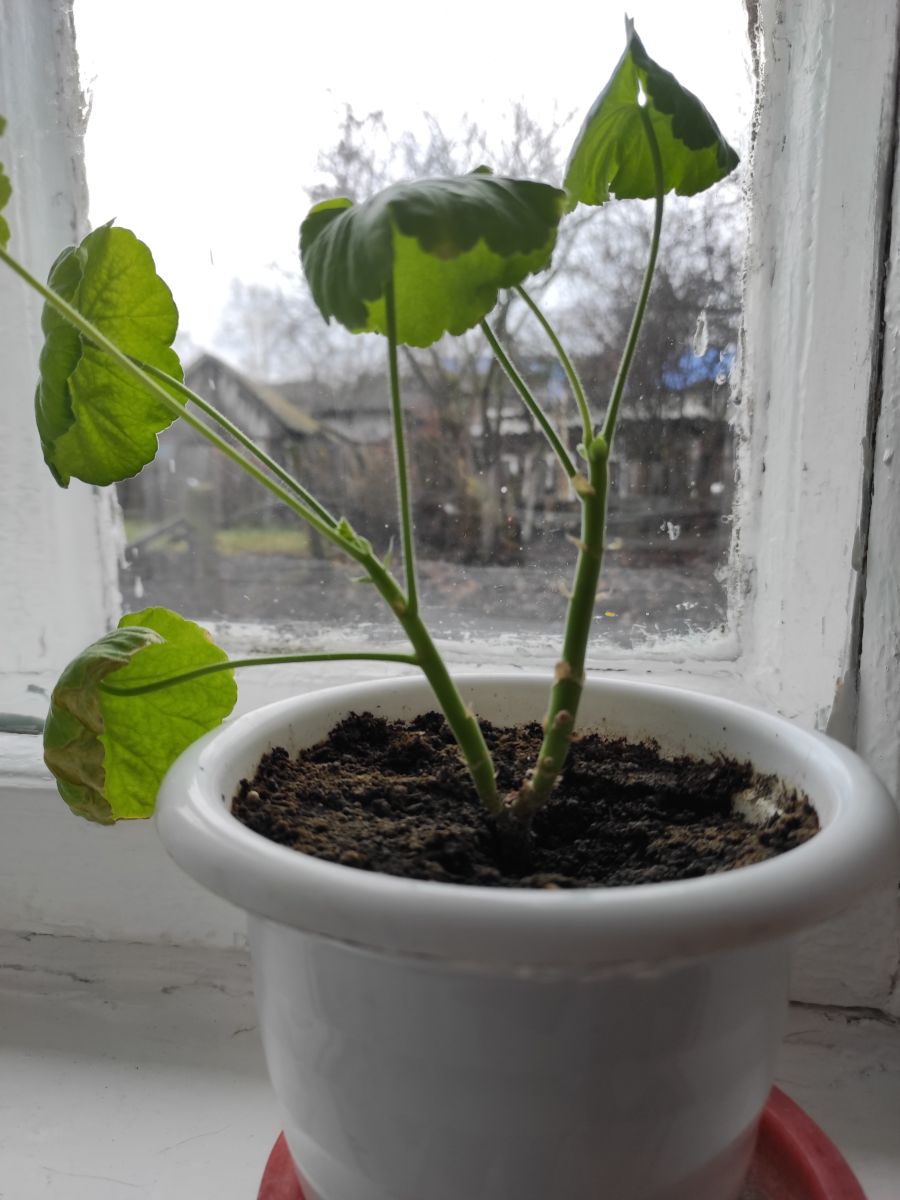 Wetter Photos Mordwinien. Wettervorhersagen mit schönen Fotos von Вильдим