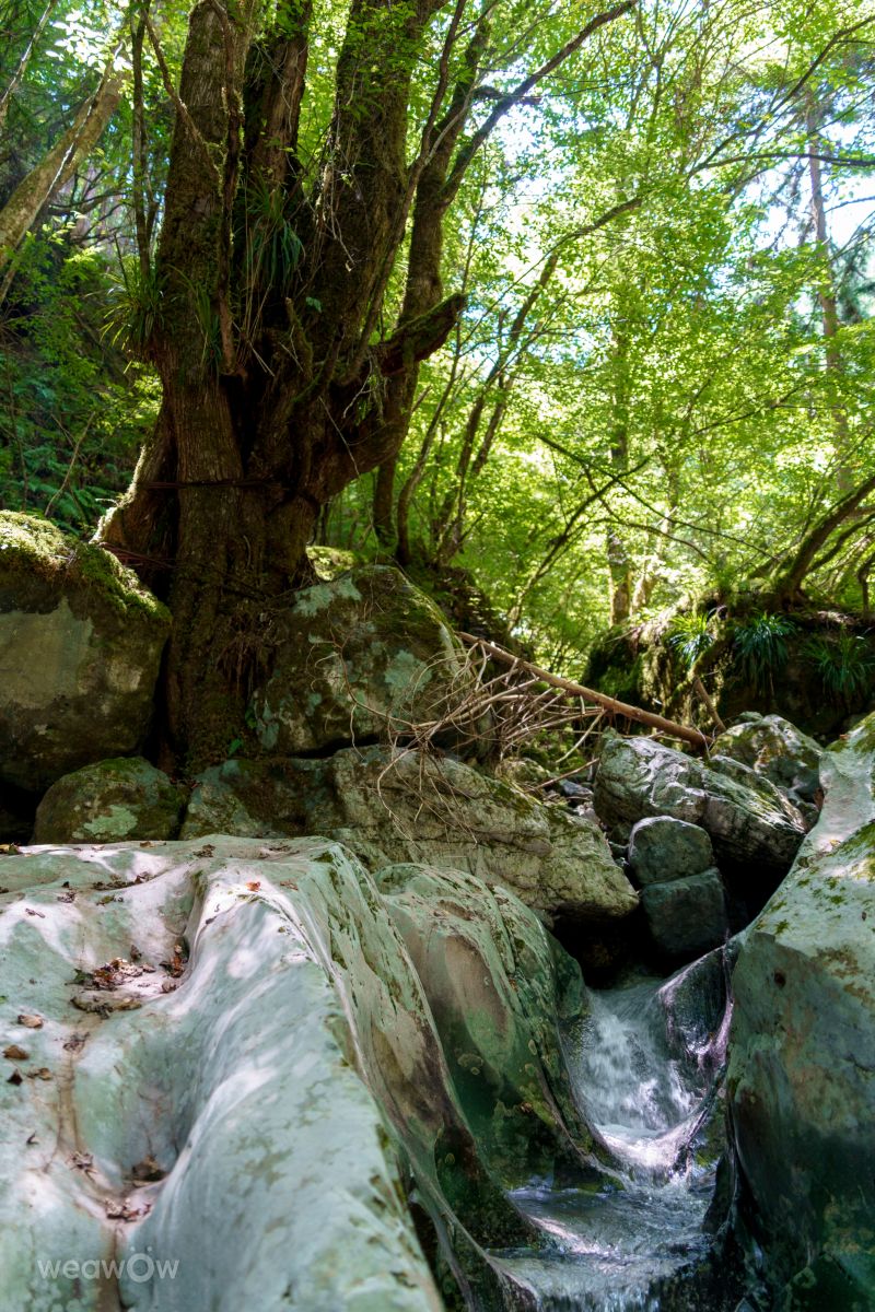 Fotógrafo jimbo3work, Fotos sobre el clima en Kawakami-mura - Weawow