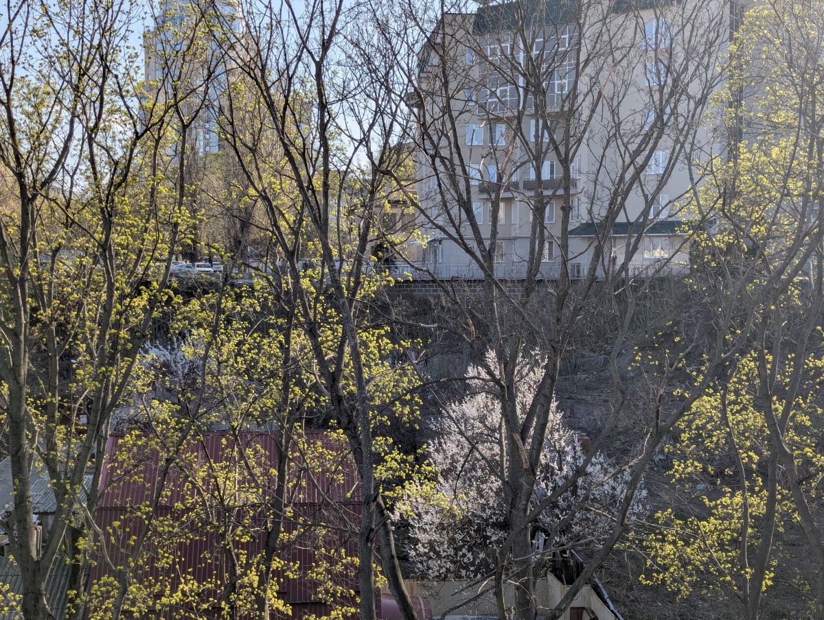 Fotos do tempo em Rússia. Previsões do tempo com lindas fotos de SergeiZ