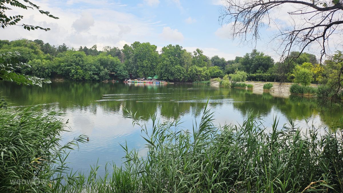 Weather Photos in Moldova. Weather forecasts with beautiful photos by Tatiana Cotorobai