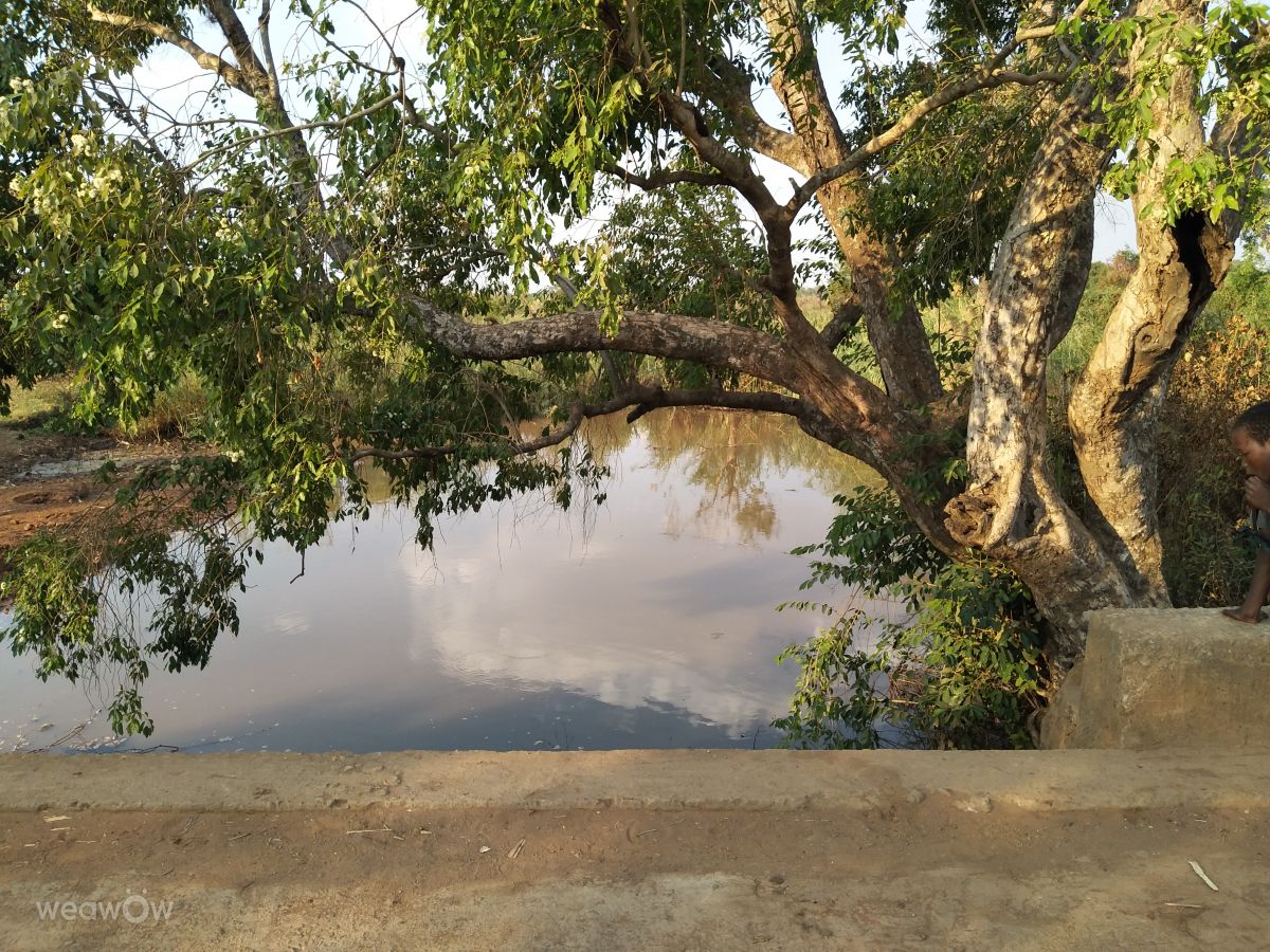 Weather Photos in Malawi. Weather forecasts with beautiful photos by Eastern Soundz