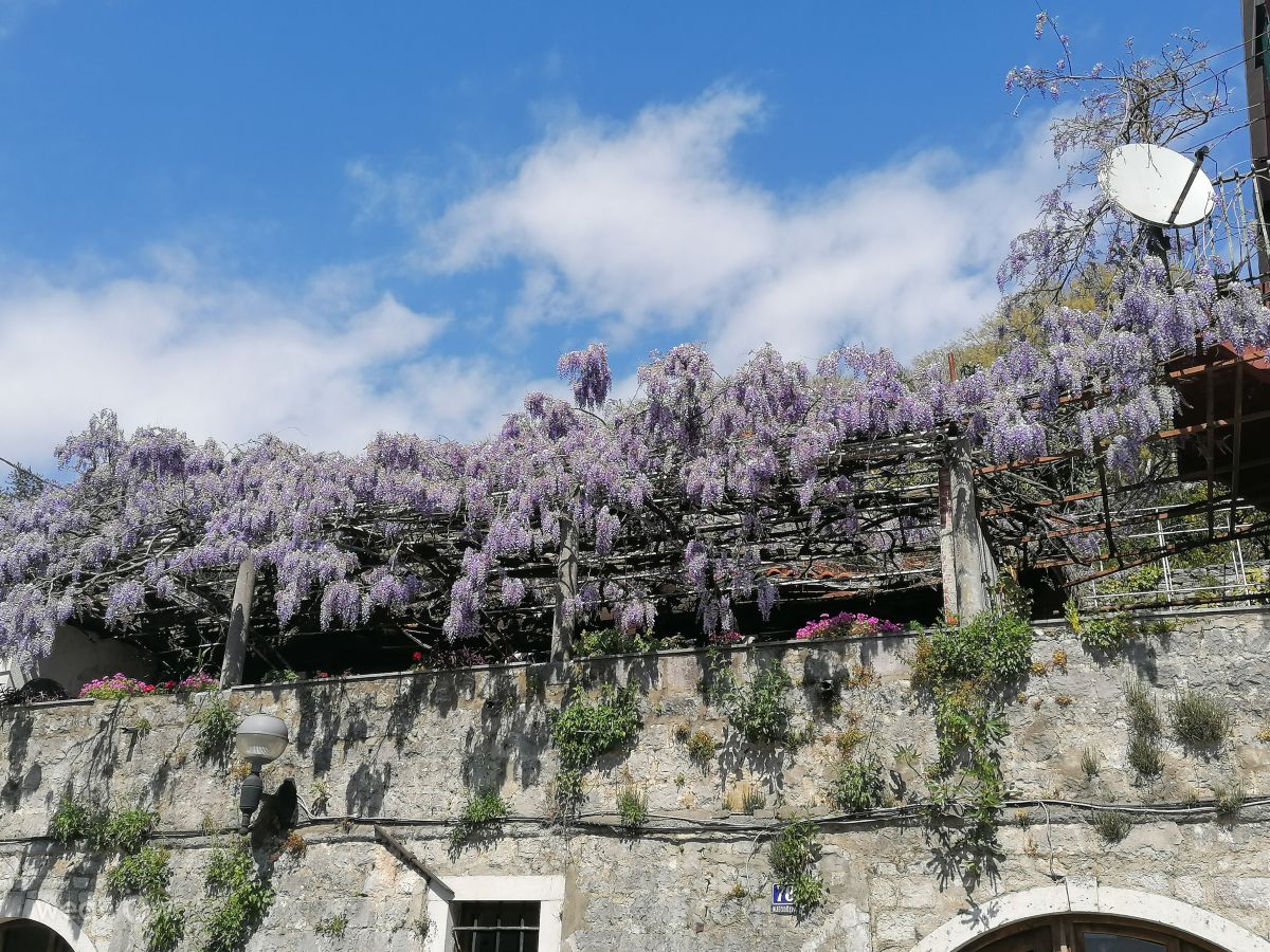 Weather Photos in Montenegro. Weather forecasts with beautiful photos by lourajner