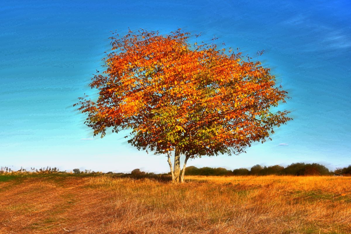 Wettervorhersagen mit schönen Fotos von ConstantinR