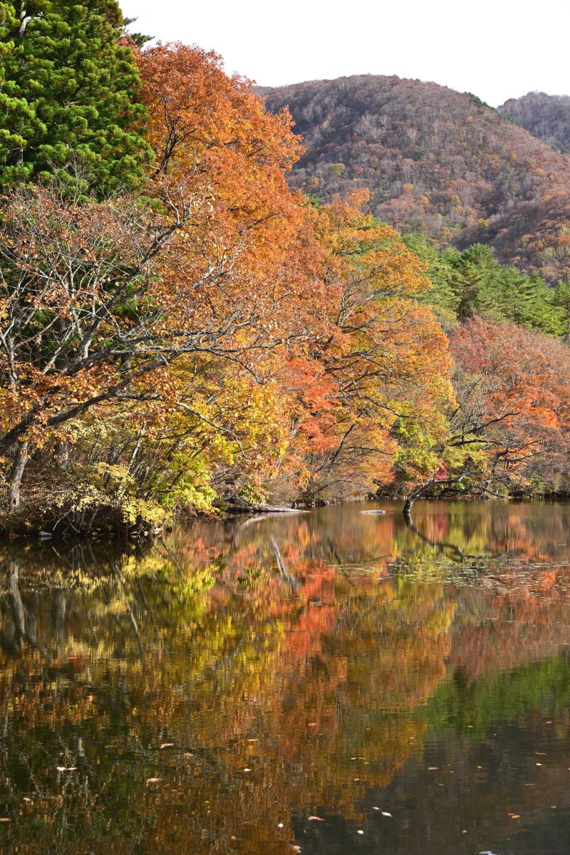 Photographer yoshy, Weather Photos in Minamiaizu - Weawow