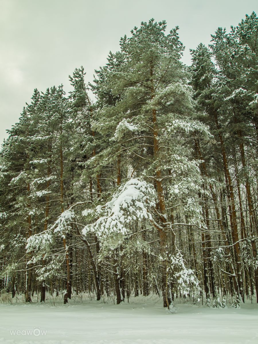 Weather Photos in Mikhnevo. Weather forecasts with beautiful photos by Alex_M_Pakarev
